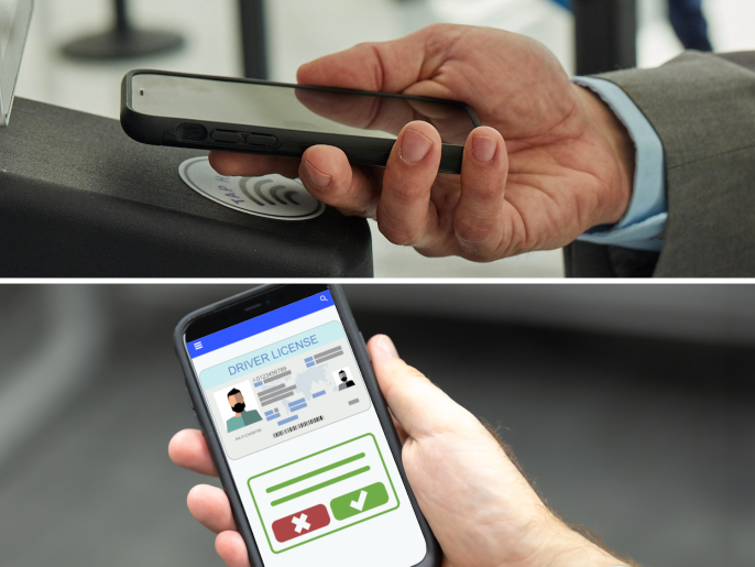 Photograph of a hand holding a mobile device displaying a digital driver's license.